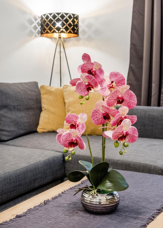 בודפשט Izabella Apartment מראה חיצוני תמונה